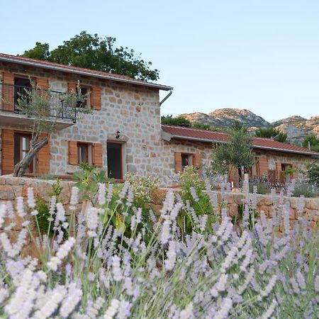 Villa Mara - Secluded House With Breathtaking View- Seline, Starigrad Paklenica Eksteriør bilde