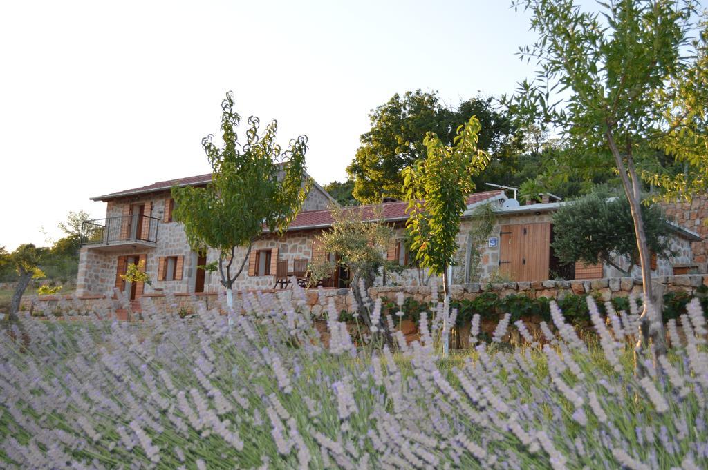 Villa Mara - Secluded House With Breathtaking View- Seline, Starigrad Paklenica Eksteriør bilde